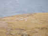 Olympus Photos 2011 081.JPG (128888 bytes)